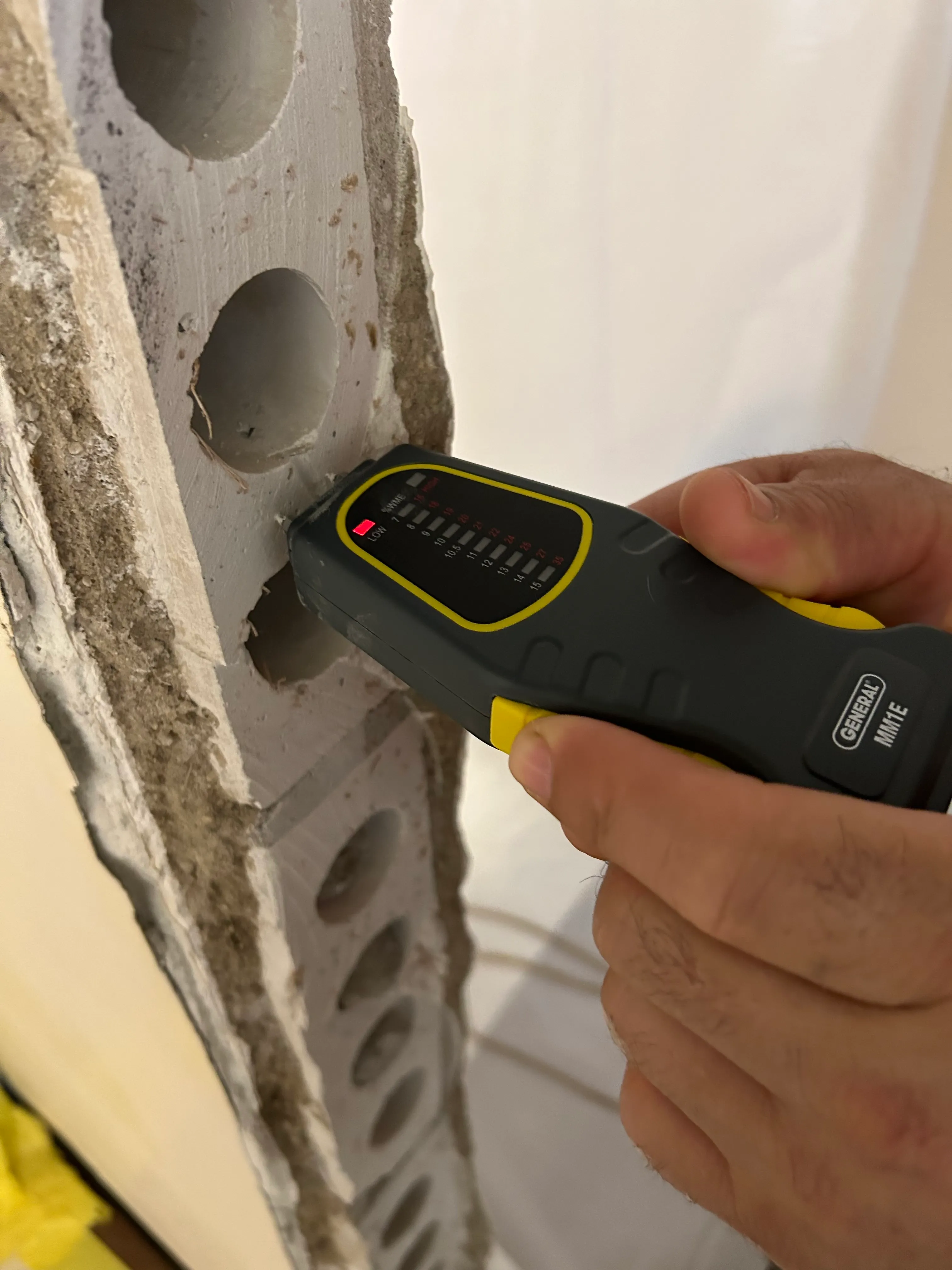 Mold detection