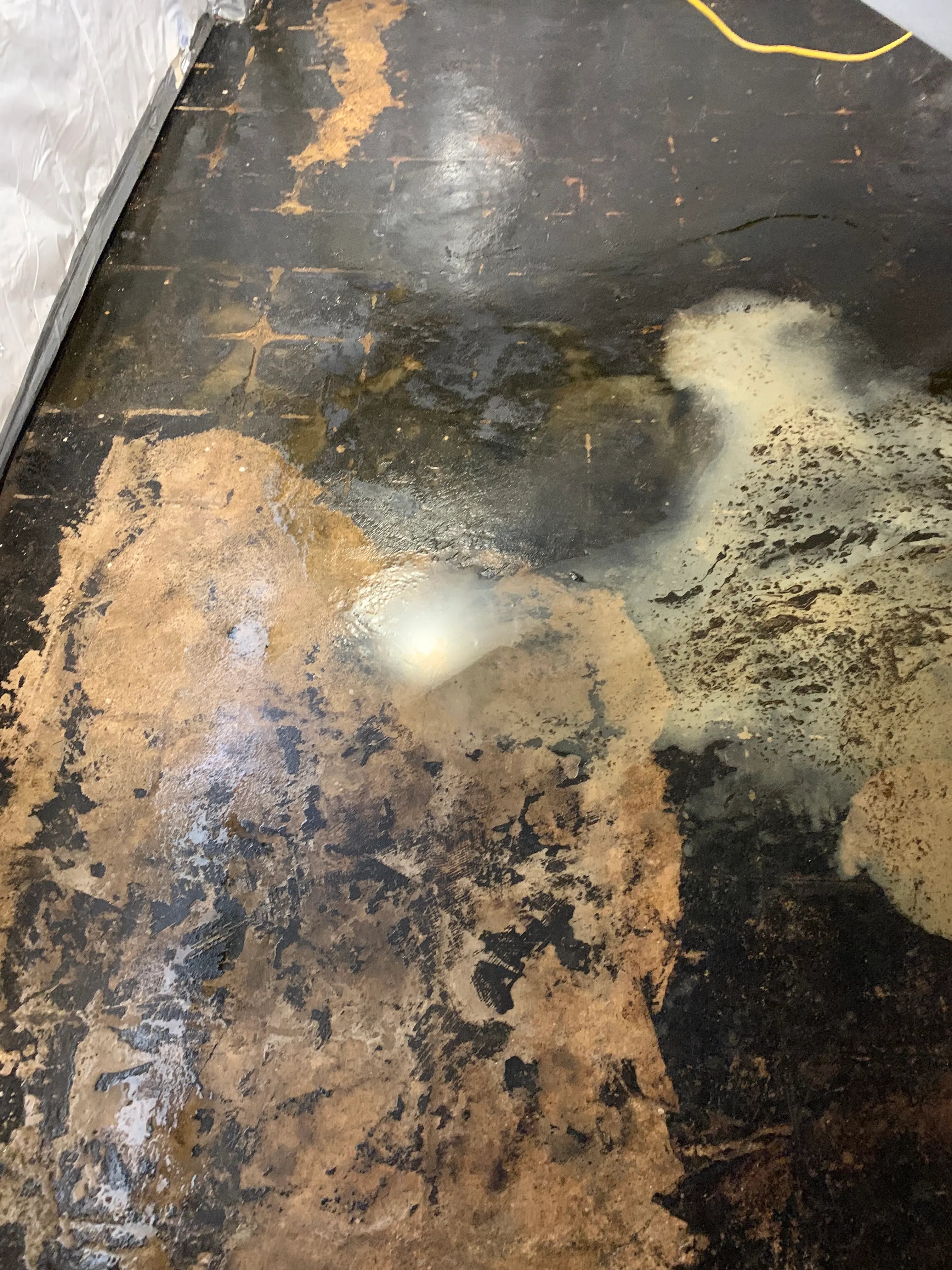 Floor mastic removal