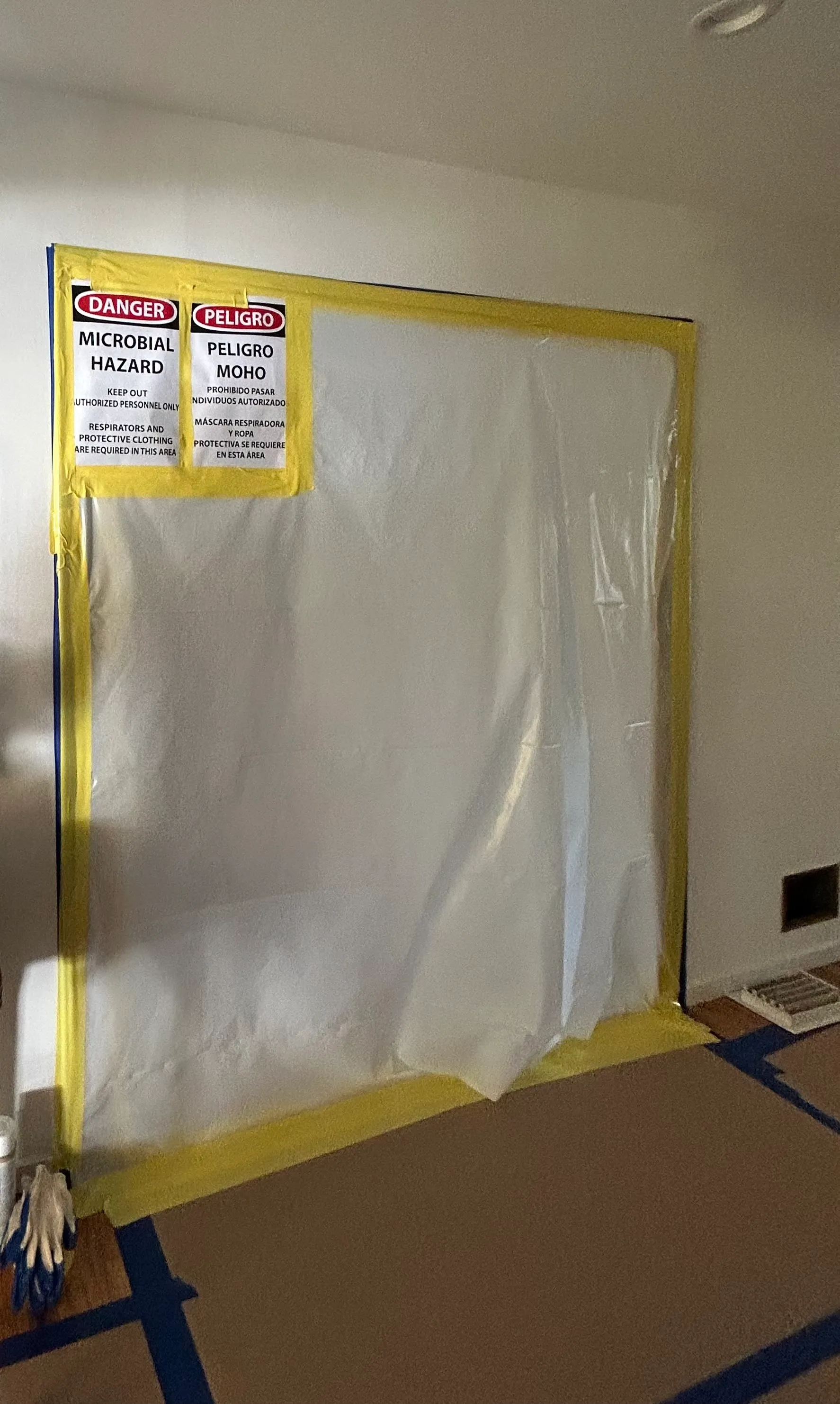 Mold removal